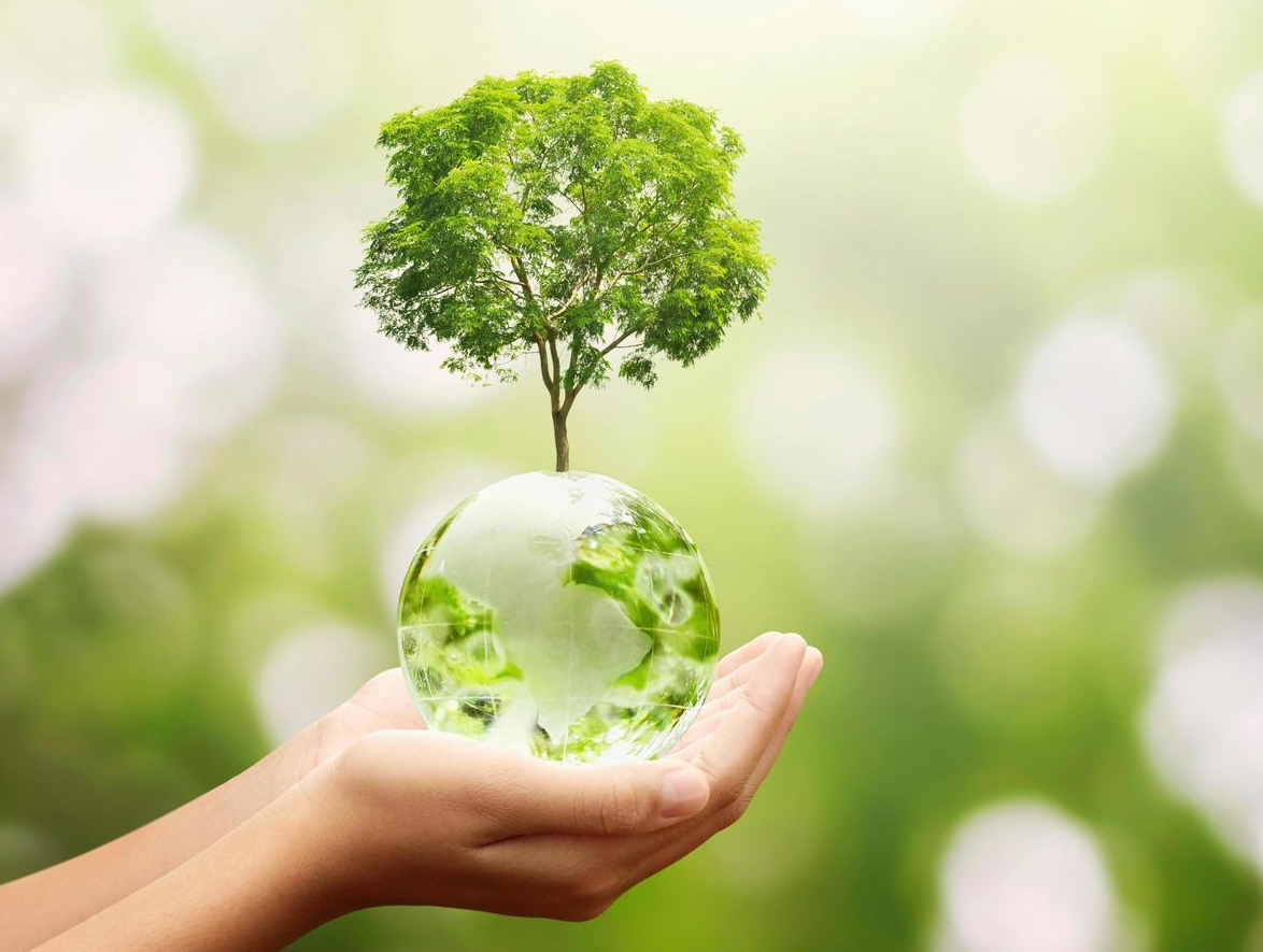 Environmental activities