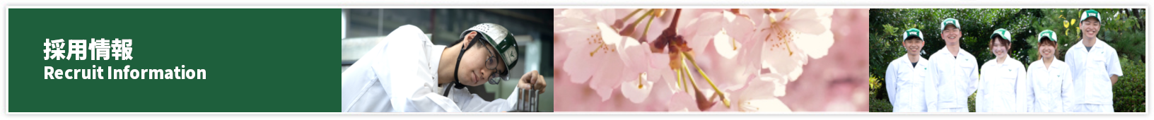 採用情報